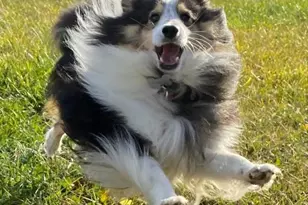 1195 Mountain View Dr, Rileyville, VA 22650 - Photo 35