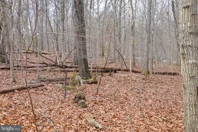 Lot 19 Riverbend Dr, Luray, VA 22835 - Photo 35