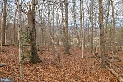 Lot 19 Riverbend Dr, Luray, VA 22835 - Photo 33