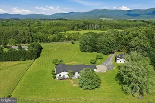 1168 Piney Woods Rd, Luray, VA 22835 - Photo 55