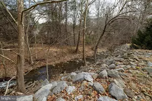 2800 Rocky Branch Rd, Luray, VA 22835 - Photo 85