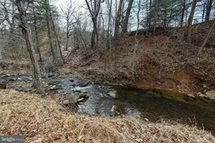 2800 Rocky Branch Rd, Luray, VA 22835 - Photo 101