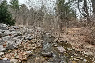 2800 Rocky Branch Rd, Luray, VA 22835 - Photo 77