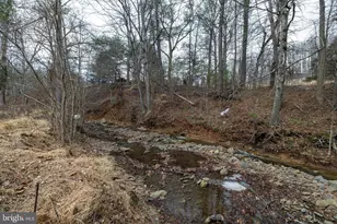 2800 Rocky Branch Rd, Luray, VA 22835 - Photo 103