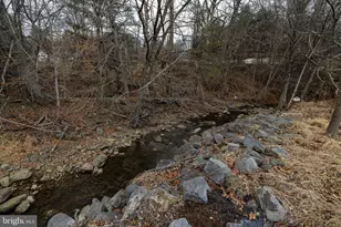 2800 Rocky Branch Rd, Luray, VA 22835 - Photo 105