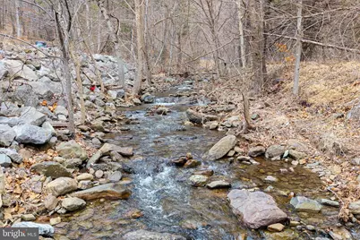 2800 Rocky Branch Road, Luray, VA 22835 - Photo 3