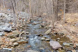 2800 Rocky Branch Rd, Luray, VA 22835 - Photo 3