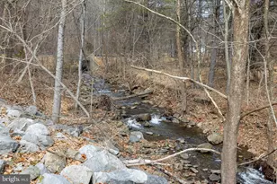 2800 Rocky Branch Rd, Luray, VA 22835 - Photo 87