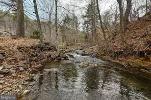 2800 Rocky Branch Rd, Luray, VA 22835 - Photo 99