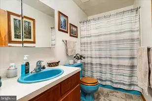 1596 US Hwy 211 E Bsn, Luray, VA 22835 - Photo 25