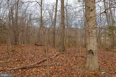 Lot 21 Riverbend Dr, Luray, VA 22835 - Photo 31