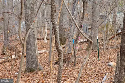 Lot 21 Riverbend Dr, Luray, VA 22835 - Photo 33