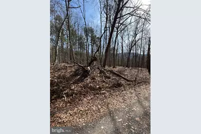 301 Abbotts Lane, Rileyville, VA 22650 - Photo 3