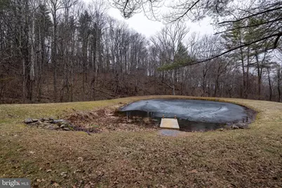 1918 Jewell Hollow Road, Luray, VA 22835 - Photo 69