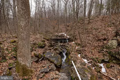 1918 Jewell Hollow Road, Luray, VA 22835 - Photo 79