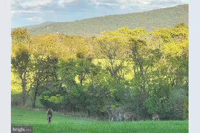 459 Springfield Estates Dr, Rileyville, VA 22650 - Photo 39