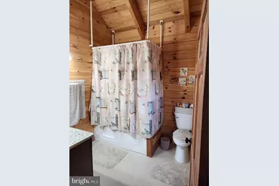 459 Springfield Estates Dr, Rileyville, VA 22650 - Photo 27