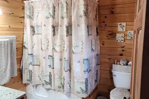 459 Springfield Estates Dr, Rileyville, VA 22650 - Photo 27