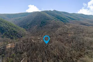 345 Wildwood Ln, Shenandoah, VA 22849 - Photo 47