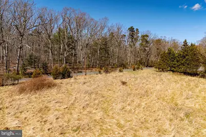 Egypt Bend Road, Luray, VA 22835 - Photo 23