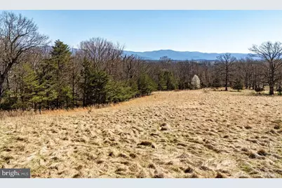 Egypt Bend Road, Luray, VA 22835 - Photo 21