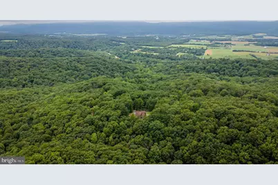 159 Park View Lane, Shenandoah, VA 22849 - Photo 47