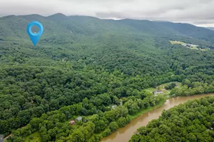 159 Park View Ln, Shenandoah, VA 22849 - Photo 55