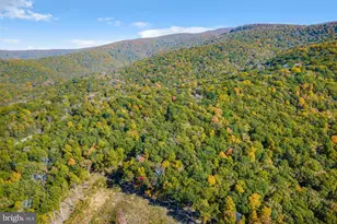 698 Valley View Rd, Rileyville, VA 22650 - Photo 61