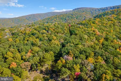 698 Valley View Road, Rileyville, VA 22650 - Photo 63