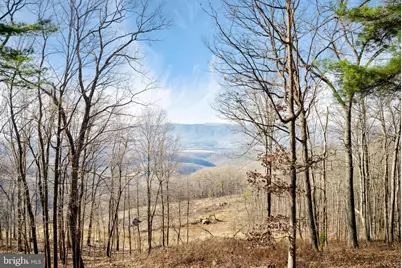 698 Valley View Road, Rileyville, VA 22650 - Photo 53