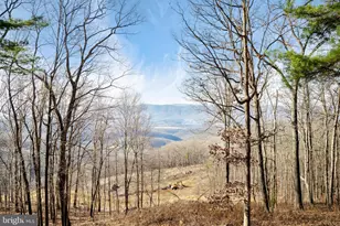 698 Valley View Rd, Rileyville, VA 22650 - Photo 53