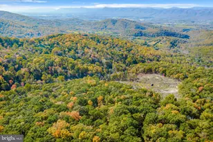 698 Valley View Rd, Rileyville, VA 22650 - Photo 59