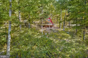 698 Valley View Rd, Rileyville, VA 22650 - Photo 51