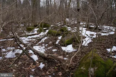 480 Beylors Ferry Road, Rileyville, VA 22650 - Photo 19