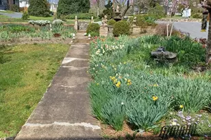 147 S Court St, Luray, VA 22835 - Photo 5