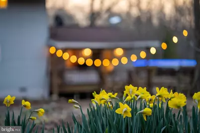 1131 Page Valley Road, Luray, VA 22835 - Photo 65