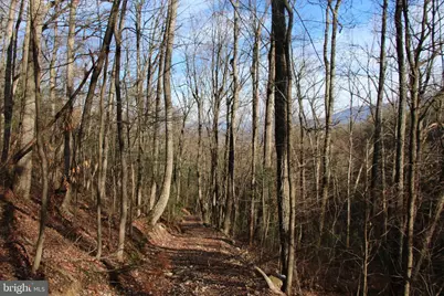 Valley Burg Road, Luray, VA 22835 - Photo 21