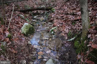 Valley Burg Road, Luray, VA 22835 - Photo 13