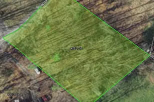 0 Old Farm Rd, Luray, VA 22835 - Photo 1