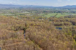 160 Gale Ln, Stanley, VA 22851 - Photo 59