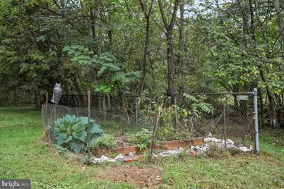 1485 Compton Hollow Road, Rileyville, VA 22650 - Photo 21