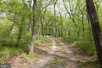 789 Mill Run Road, Shenandoah, VA 22849 - Photo 45