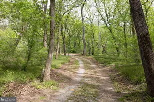 789 Mill Run Rd, Shenandoah, VA 22849 - Photo 45