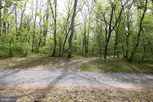 789 Mill Run Rd, Shenandoah, VA 22849 - Photo 47