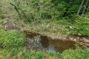 2645 Dry Run Rd, Luray, VA 22835 - Photo 67