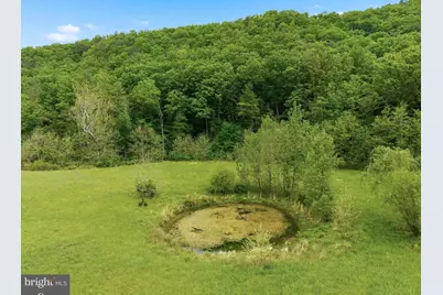 2645 Dry Run Road, Luray, VA 22835 - Photo 65