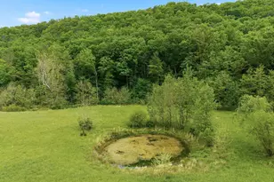 2645 Dry Run Rd, Luray, VA 22835 - Photo 65