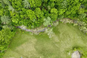 2645 Dry Run Rd, Luray, VA 22835 - Photo 73