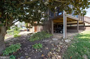 3 Cedar Dr, Luray, VA 22835 - Photo 69