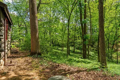 4439 Old Forge Road, Luray, VA 22835 - Photo 87
